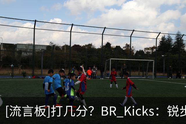 [流言板]打几分？B/R Kicks：锐步已公布小达里厄斯-埃卡夫个人logo